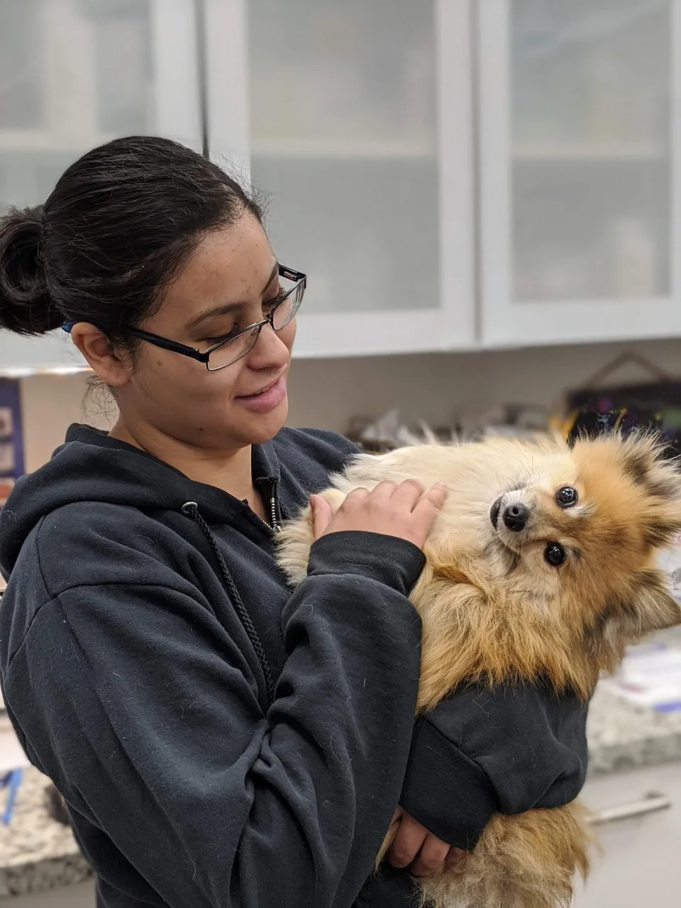 dog, veterinarian, veterinary clinic, vet, woman, female, pet, animal, domestic dog, canine, nature, mammal, cute, adorable, portrait, United States, Texas, Hedwig Village. Veterinary practice packages: bundles that make sense