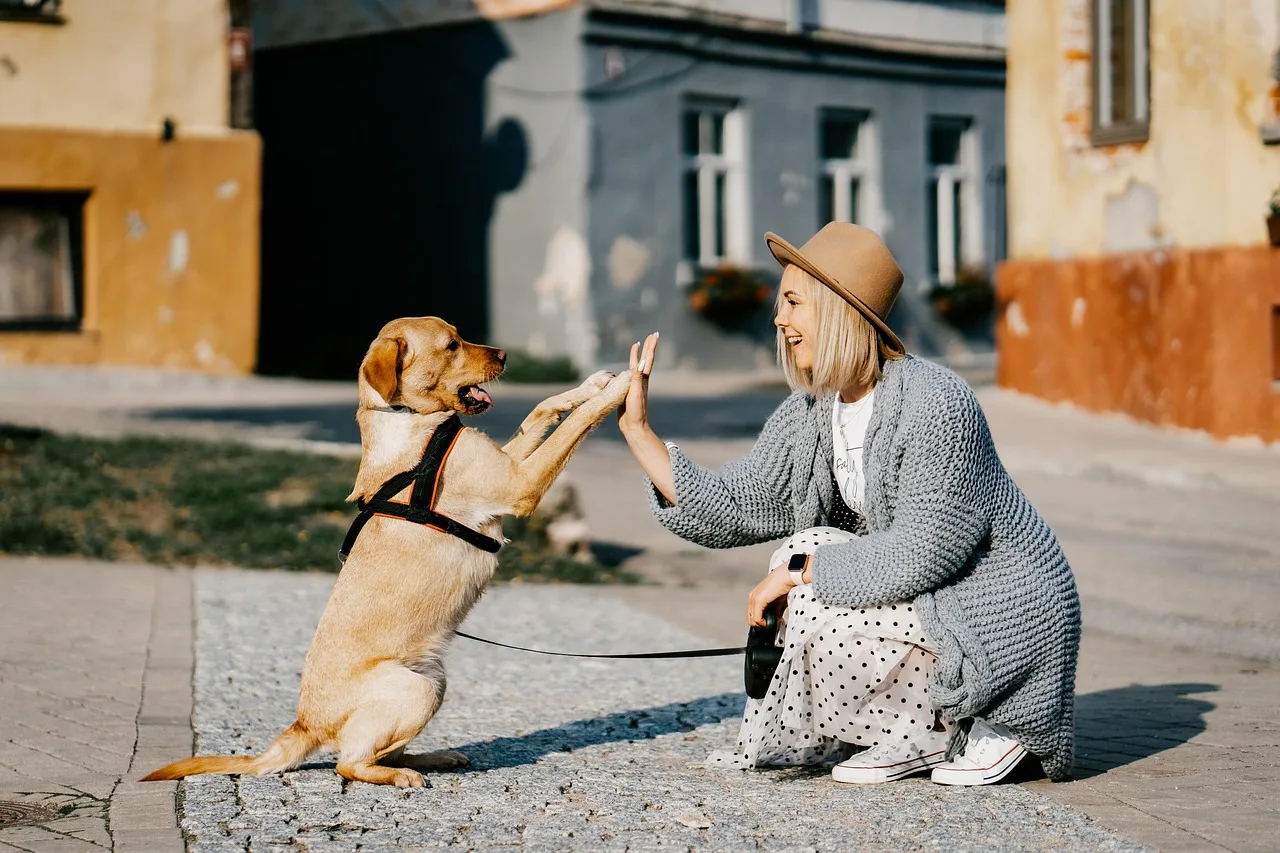 girl, dog, pet, friendship, companion, owner, caucasian, blonde, caucasian female, blonde female, canine, domestic dog, doggy, happy, nature, animal, love, woman, cute, puppy. Referrals for a veterinary practice: how owners get more of them