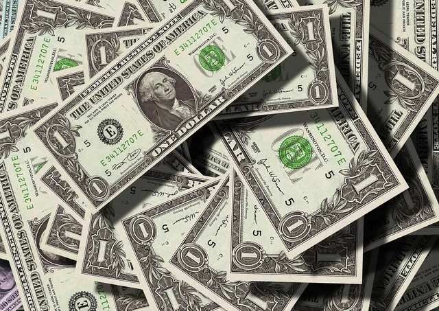 dollars, currency, money, us dollars, franklin, benjamin franklin, banknote, finance, wealth, bills, cash, savings, money, money, money, money, money. How a veterinary practice tracks cash flow week to week