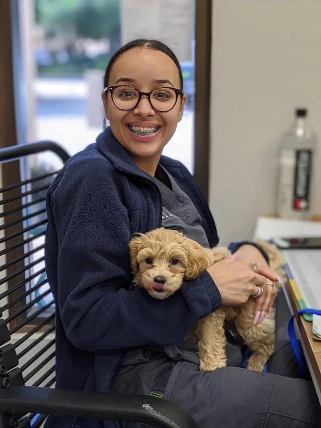 dog, veterinarian, veterinary clinic, vet, woman, female, smile, happy, puppy, nature, pet, animal, young dog, domestic dog, canine, mammal, cute, adorable, portrait. Veterinary practice expansion: questions to answer first
