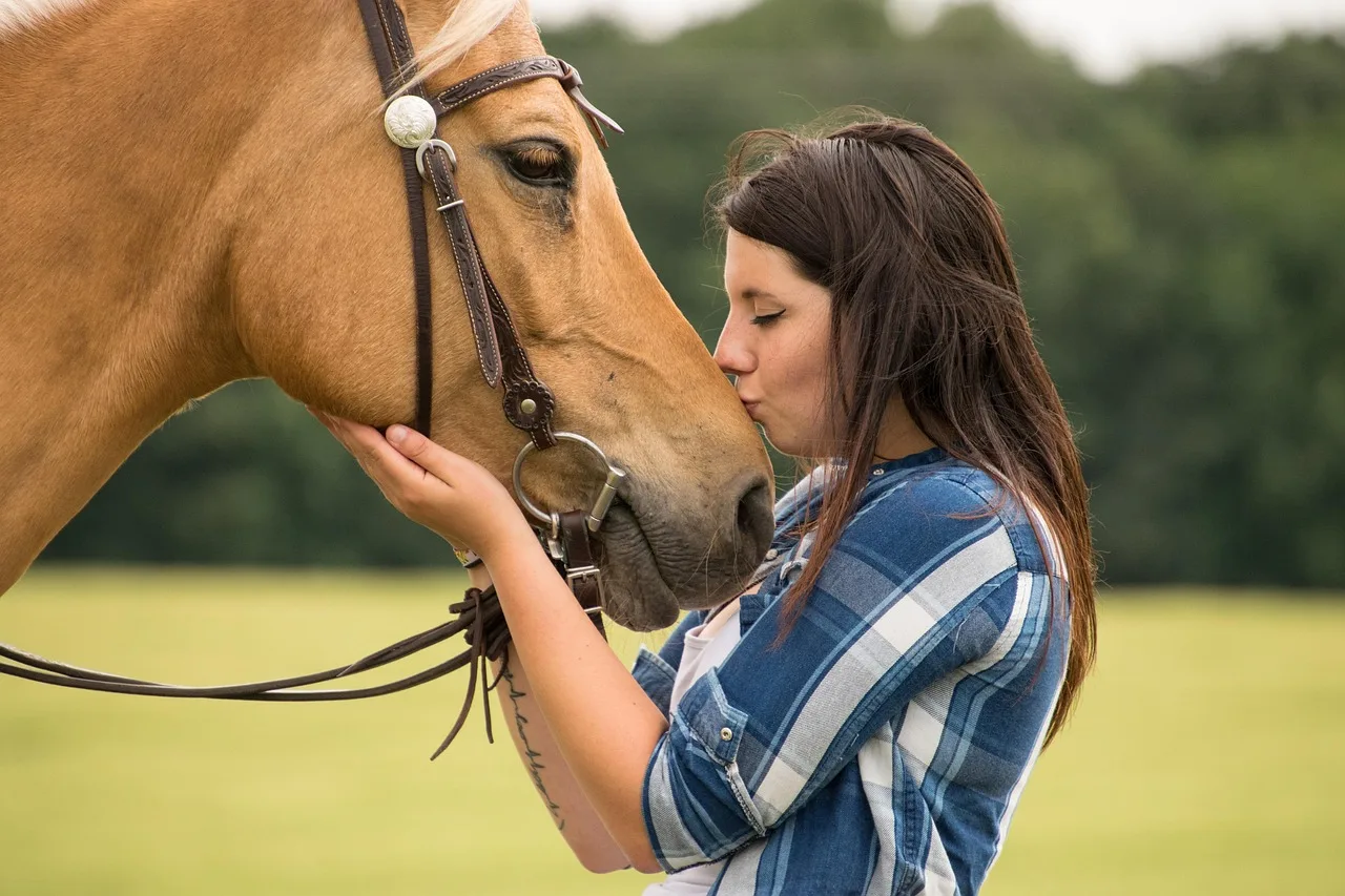 horse, trust, love, kiss, nature, friendship, animal, human, western, arabs, palomino. Veterinary practice payroll tax failures and the IRS trust fund recovery penalty